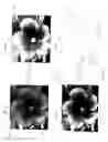 Fig. 04 - SYSTEM AND METHOD FOR ACCESSING ELECTRONIC DATA VIA AN IMAGE SEARCH ENGINE