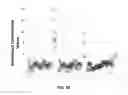 Fig. 55 - Detecting and classifying copy number variation