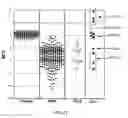 Fig. 69 - Detecting and classifying copy number variation