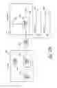 Fig. 45 - ELECTRONIC BOOK SECURITY AND COPYRIGHT PROTECTION SYSTEM