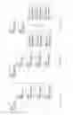 Fig. 09 - Using biometric user-specific attributes