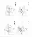 Fig. 02 - Automatic authorization for access to electronic device
