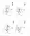 Fig. 03 - Automatic authorization for access to electronic device