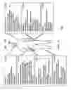 Fig. 17 - Obtaining metrics for a position using frames classified by an associative memory