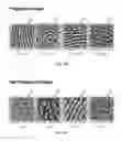 Fig. 11 - Multi-stage liveness determination