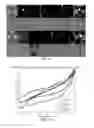 Fig. 09 - Method and device for contactless biometrics identification