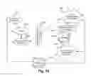 Fig. 16 - SYSTEM AND METHODS FOR CREATING, MODIFYING AND DISTRIBUTING VIDEO CONTENT USING CROWD SOURCING AND CROWD CURATION