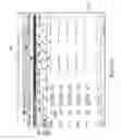 Fig. 12 - SYSTEMS AND METHODS FOR CLIENT SCREENING IN THE FINANCIAL SERVICES INDUSTRY