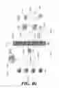 Fig. 06 - Use of behavioral portraits in the conduct of e-commerce