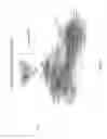 Fig. 13 - Systems and Methods for Continuous Analysis and Procurement of Advertisement Campaigns