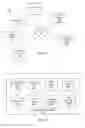 Fig. 02 - Verifying purchasers of restricted gifts