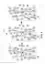 Fig. 05 - Systems and methods for improving computation efficiency in the detection of fraud indicators for loans with multiple applicants