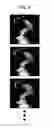 Fig. 13 - Image processing device, image processing method, and non-transitory recording medium