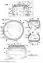 Fig. 03 - Responsibility system, ID and Tracking of items and debris including retread tires