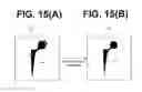 Fig. 16 - Image processing device