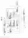 Fig. 09 - Medical imaging analyzer and medical image processing method