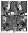 Fig. 27 - Noncontact metrology probe, process for making and using same