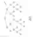 Fig. 13 - Beam tracing