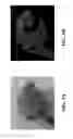 Fig. 07 - Real-Time Dynamic Three-Dimensional Adaptive Object Recognition and Model Reconstruction