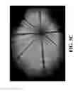 Fig. 08 - Real-Time Dynamic Three-Dimensional Adaptive Object Recognition and Model Reconstruction