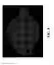 Fig. 11 - Real-Time Dynamic Three-Dimensional Adaptive Object Recognition and Model Reconstruction