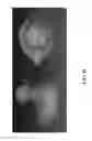 Fig. 14 - Real-Time Dynamic Three-Dimensional Adaptive Object Recognition and Model Reconstruction