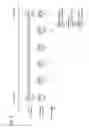 Fig. 05 - Scoring device and scoring method
