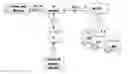 Fig. 01 - Health and wellness management methods and systems useful for the practice thereof