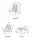 Fig. 03 - Wearable partial task surgical simulator