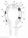 Fig. 01 - Simulated tissue structure for surgical training