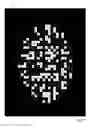 Fig. 12 - Display screen and method for secure representation of information