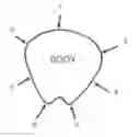 Fig. 01 - D-PICK
