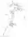 Fig. 05 - Wind instrument supports