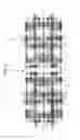 Fig. 03 - Semiconductor memory device