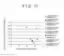 Fig. 10 - Magnetic compound and method of producing the same