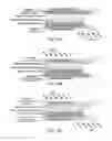 Fig. 13 - ELECTROCHEMICAL SOLAR CELLS