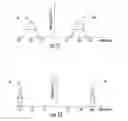 Fig. 03 - Control of ion angular distribution of ion beams with hidden deflection electrode