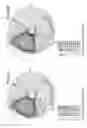 Fig. 12 - PLASMA PROCESSING DEVICE AND PLASMA PROCESSING METHOD