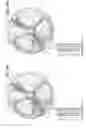 Fig. 14 - PLASMA PROCESSING DEVICE AND PLASMA PROCESSING METHOD