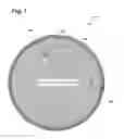 Fig. 02 - Method for preventing delamination and cracks in group III-V wafers