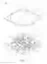 Fig. 02 - Light emitting device