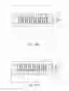 Fig. 26 - Nanostructure semiconductor light emitting device