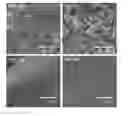 Fig. 07 - Method of producing electrically conductive polymer and cellulose nanocomposites