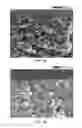 Fig. 09 - Protective layers in lithium-ion electrochemical cells and associated electrodes and methods