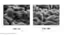 Fig. 19 - Protective layers in lithium-ion electrochemical cells and associated electrodes and methods