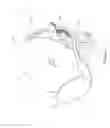 Fig. 09 - Wide scan steerable antenna