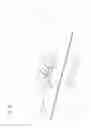 Fig. 03 - MIMO ANTENNA DEVICE