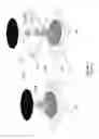 Fig. 03 - High Resolution Structured Light Source