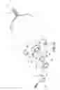 Fig. 11 - Motor having a braking function and used in linear actuator