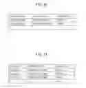Fig. 20 - Authentication system and authentication method